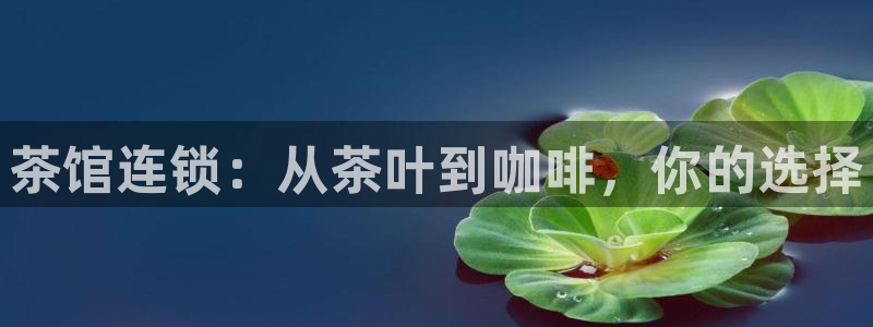 安信12平台怎么样