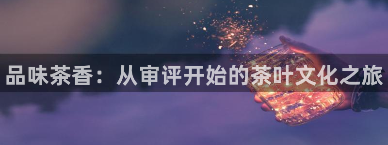 安信12平台介绍