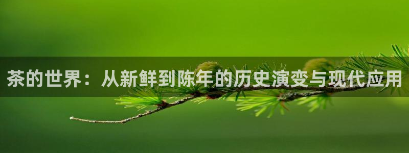安信12娱乐平台