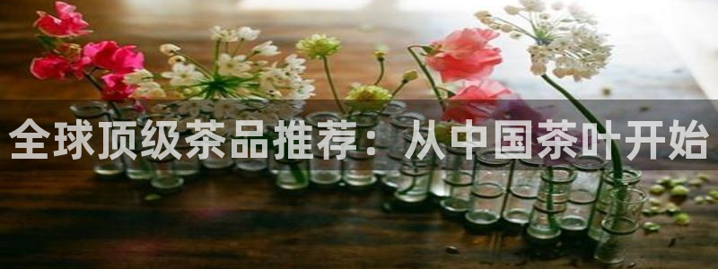 安信卓越12月