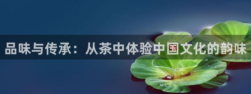 安信cw12系列