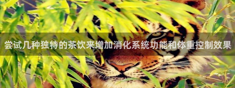 安信12位数资金号