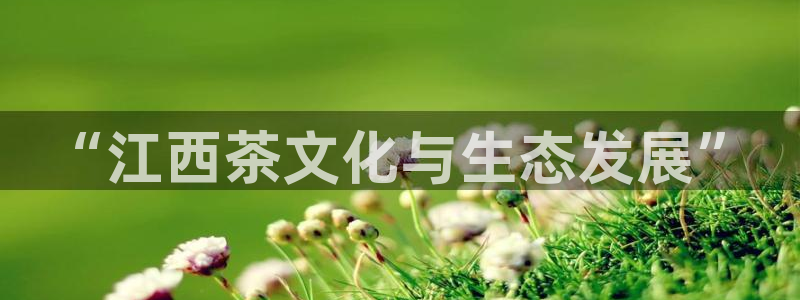 安信12月金股