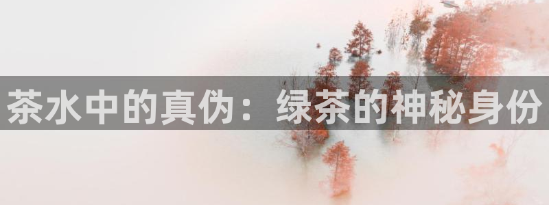 安信12娱乐7o777还