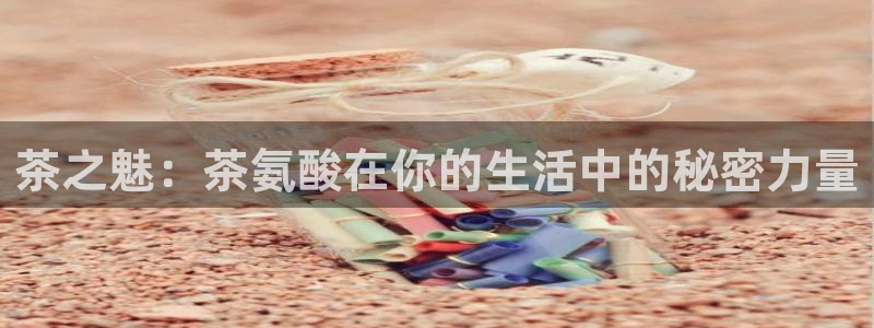 安信12娱乐招商