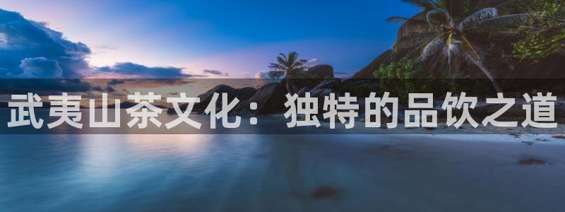 安信12正版下载