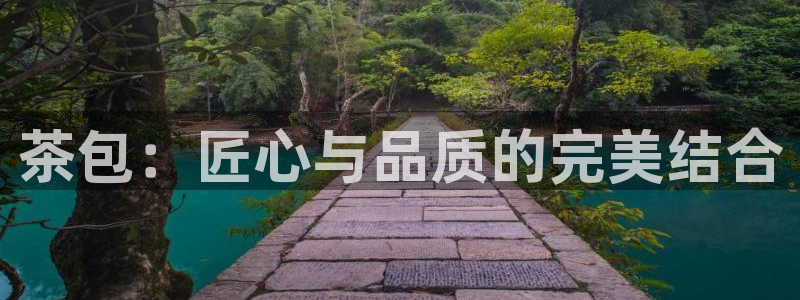 安信12是什么平台