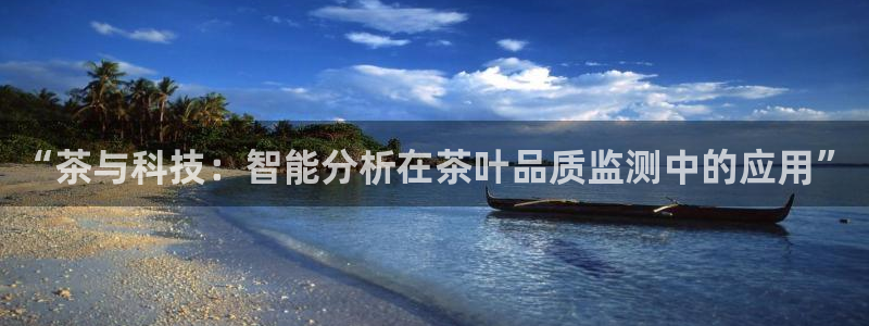 安信12平台的网址