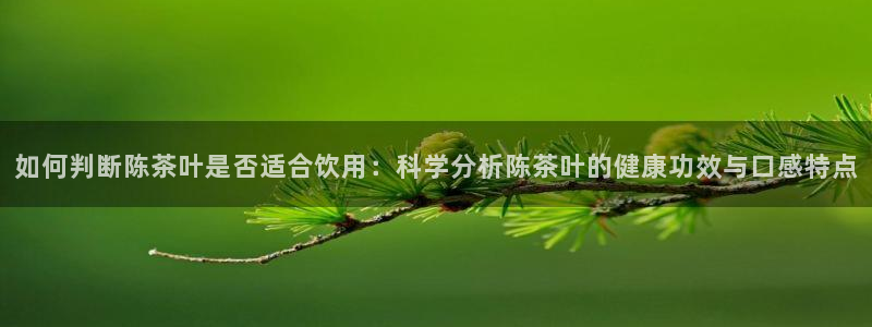 安信12专用挂机