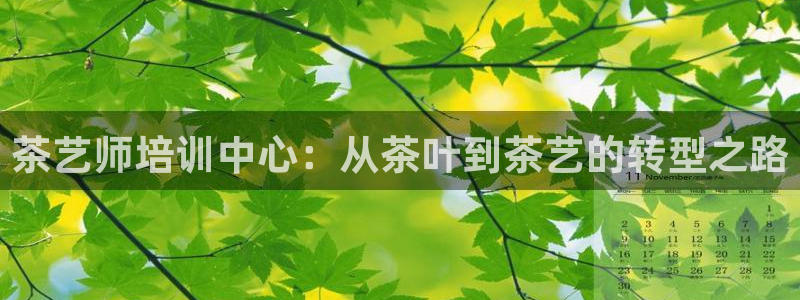 安信可12e12f