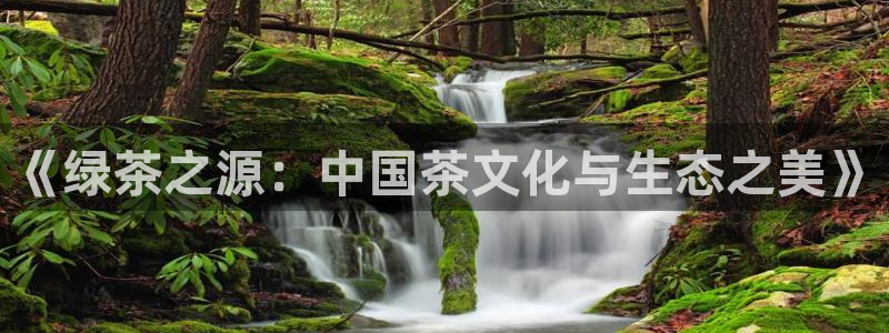 安信可12e12f