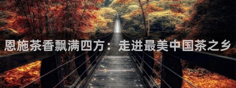 安立信T12测评