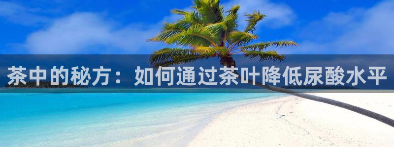 安信12级灯牌