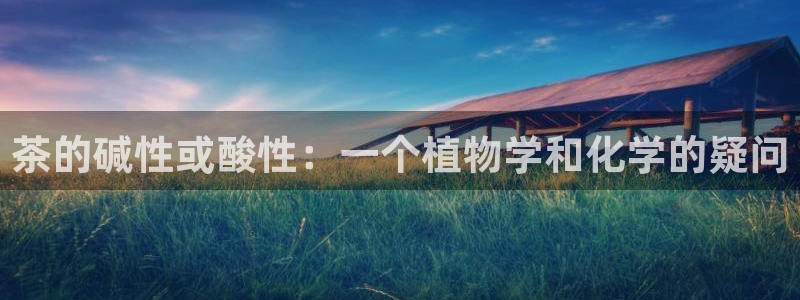 安信12怎么下载