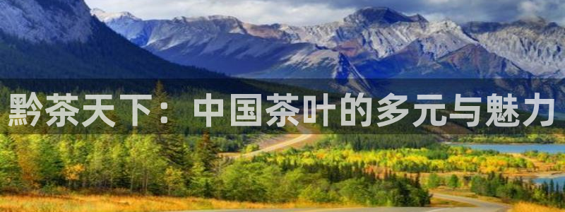 安信证券手机壳12