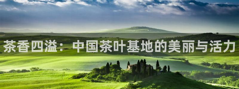 安信12如何开代理
