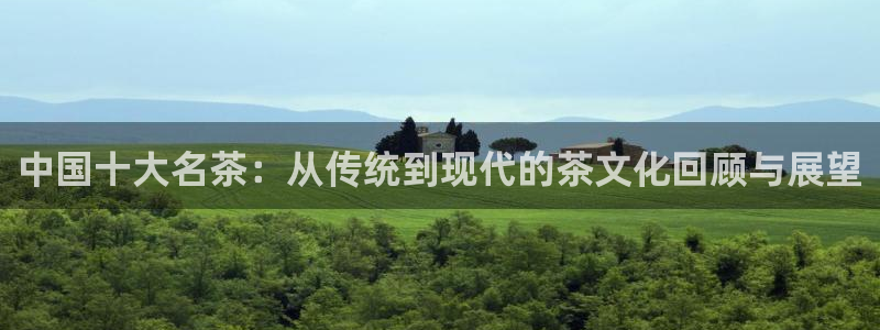安信12月金股