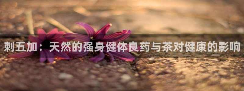 安信12账号