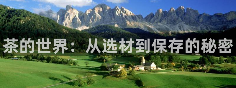 安信cwa12