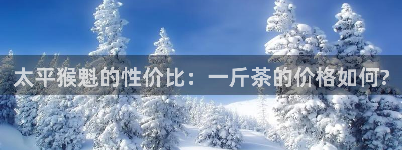 安信4娱乐去55 12
