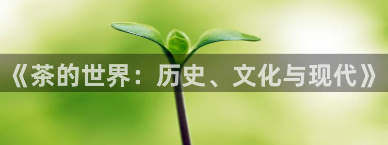 安信12真假