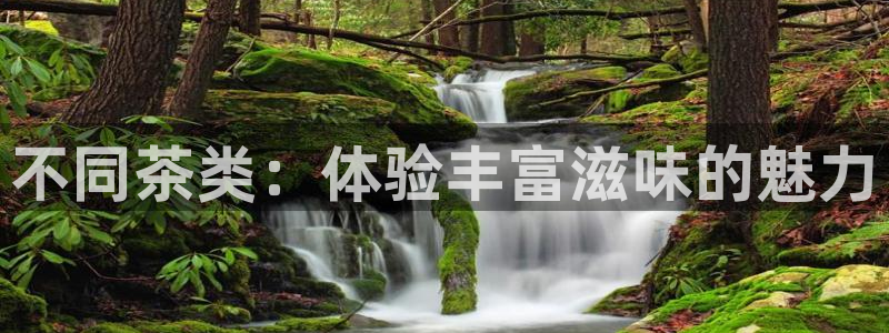 安卓12微信