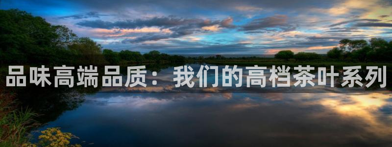 安信12是什么