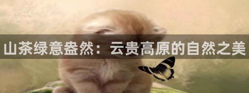 安信12娱乐招商