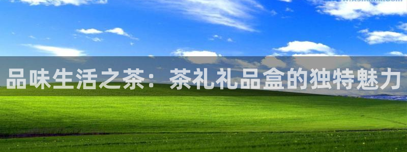 安信12彩票在线网址