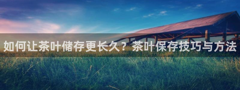 安信证券手机壳12