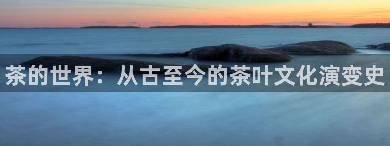 安信12软件介绍