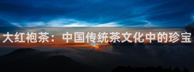 安信12平台介绍