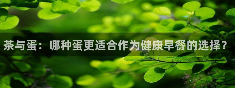 安信12级粉丝团福利