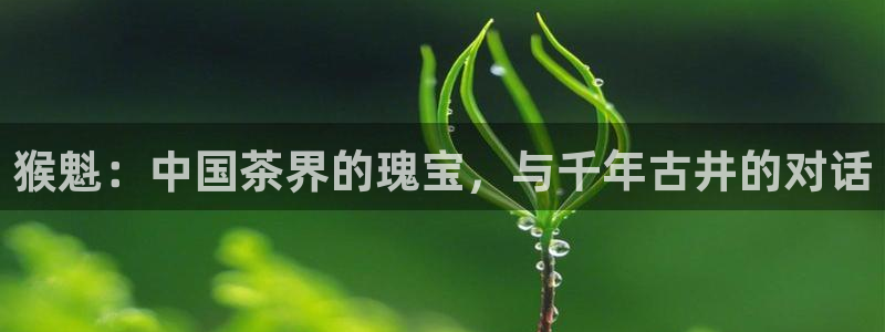 安信12平台可靠吗