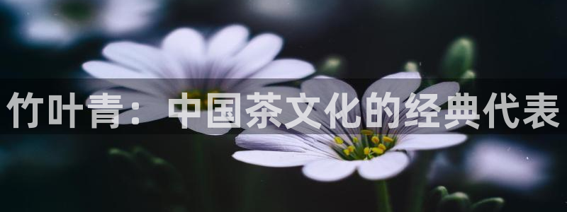 安信安翼 12账号