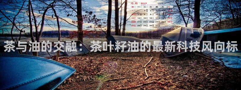 安信12娱乐平台