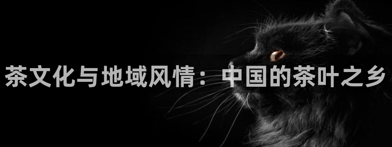 安卓12微信