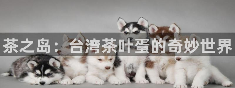 安信招商rk金12手12指jc