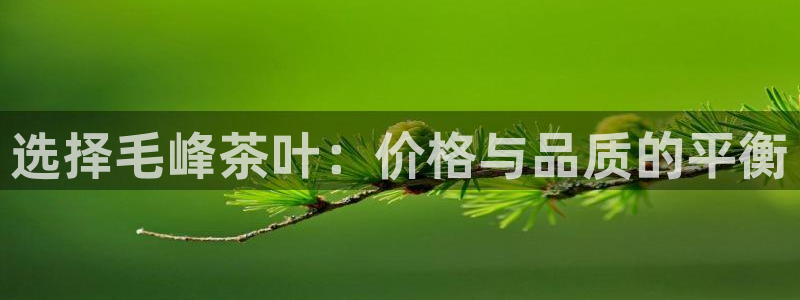安信12账号