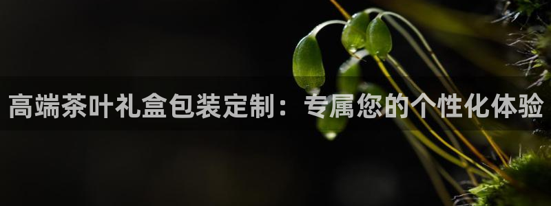安信12靠谱吗