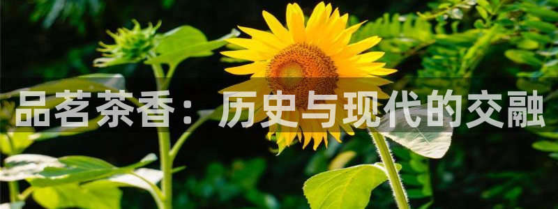安信12娱乐招商探索空间