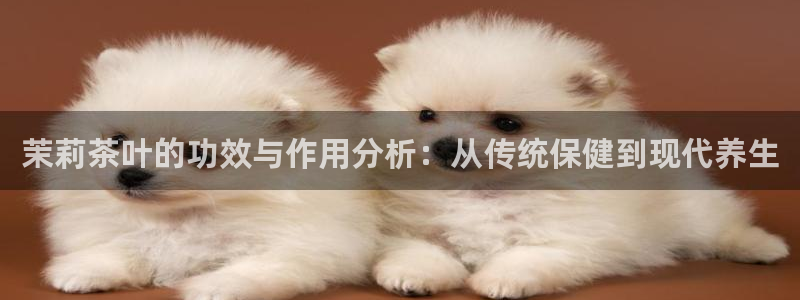 安信12平台开户