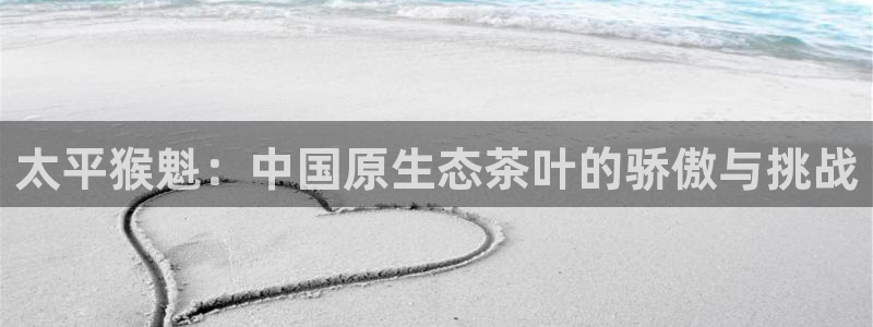 安信12娱乐主管