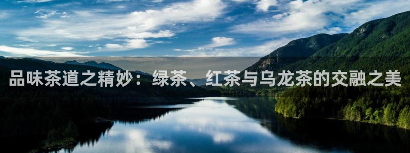 安信安盈12最新消息