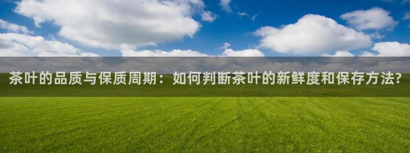 安信证券手机壳12