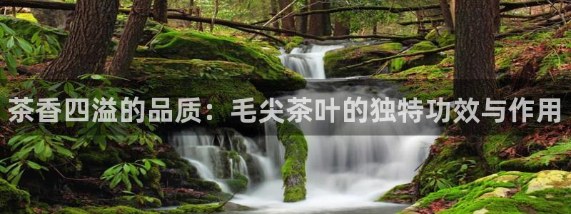 安信12娱乐登录网页