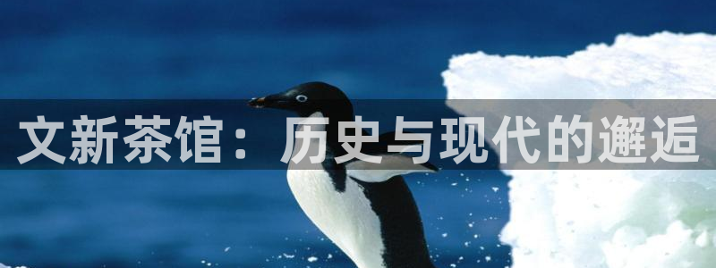 安信可12f代码