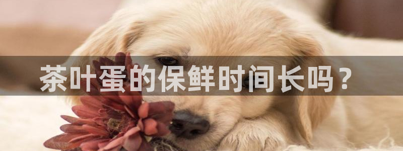 安立信12改装