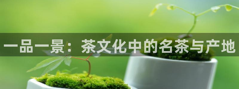 下载安信12