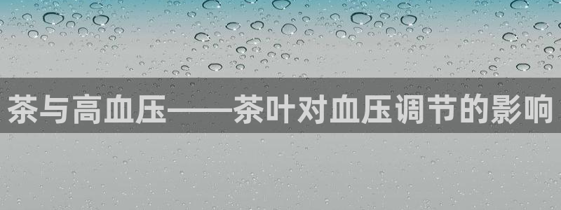 安信12位数资金号
